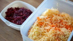 veckansvego rivna rotsaker