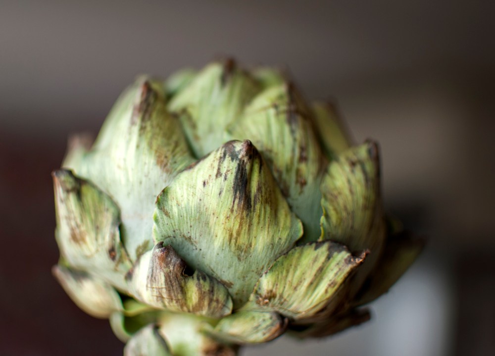 veckans vego kronärtskocka