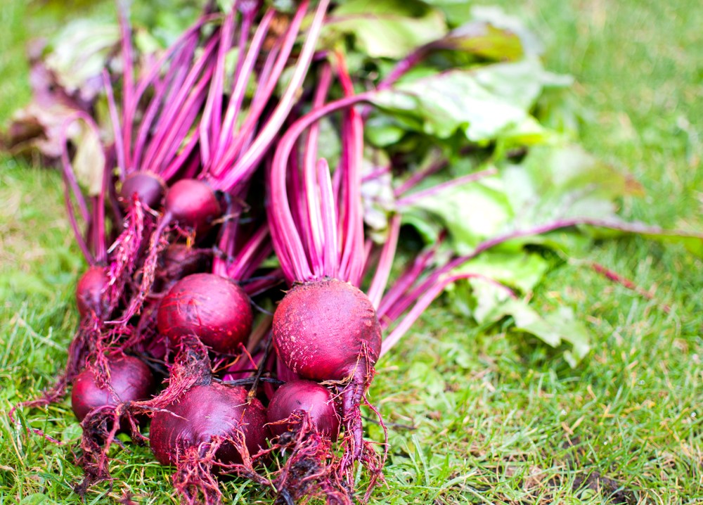 veckans vego närodlad rödbeta